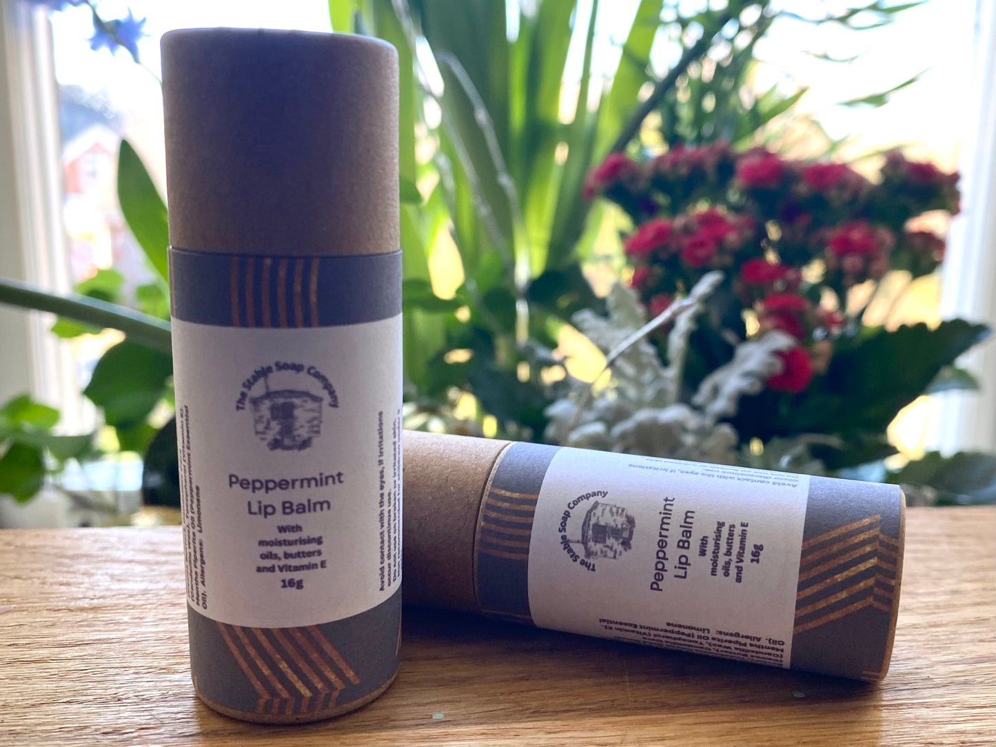 Peppermint Lip Balm Vegan (eco friendly tube)