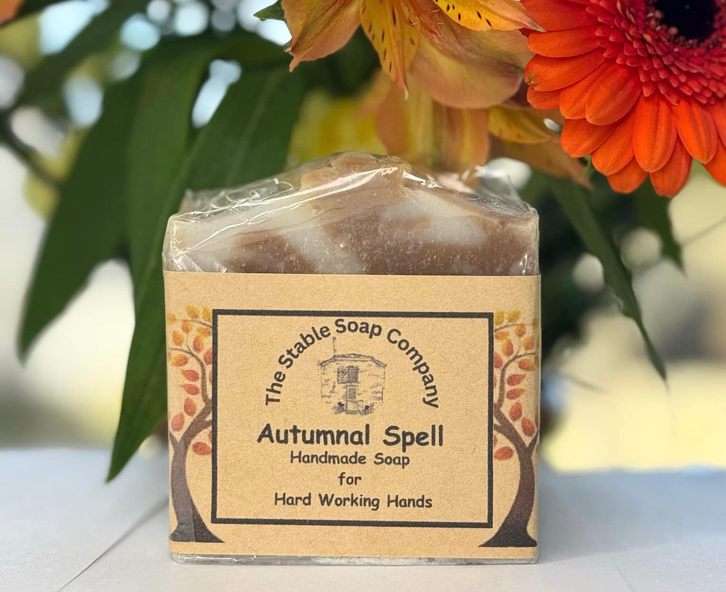 Autumnal Spell Vegan Handmade Soap