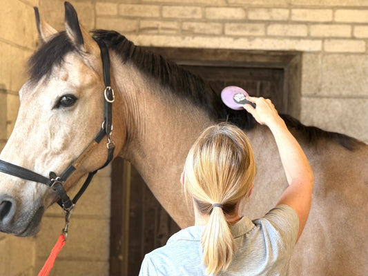 Why Your Horse's Skin Is Completely Different From Yours (And Why It Matters)