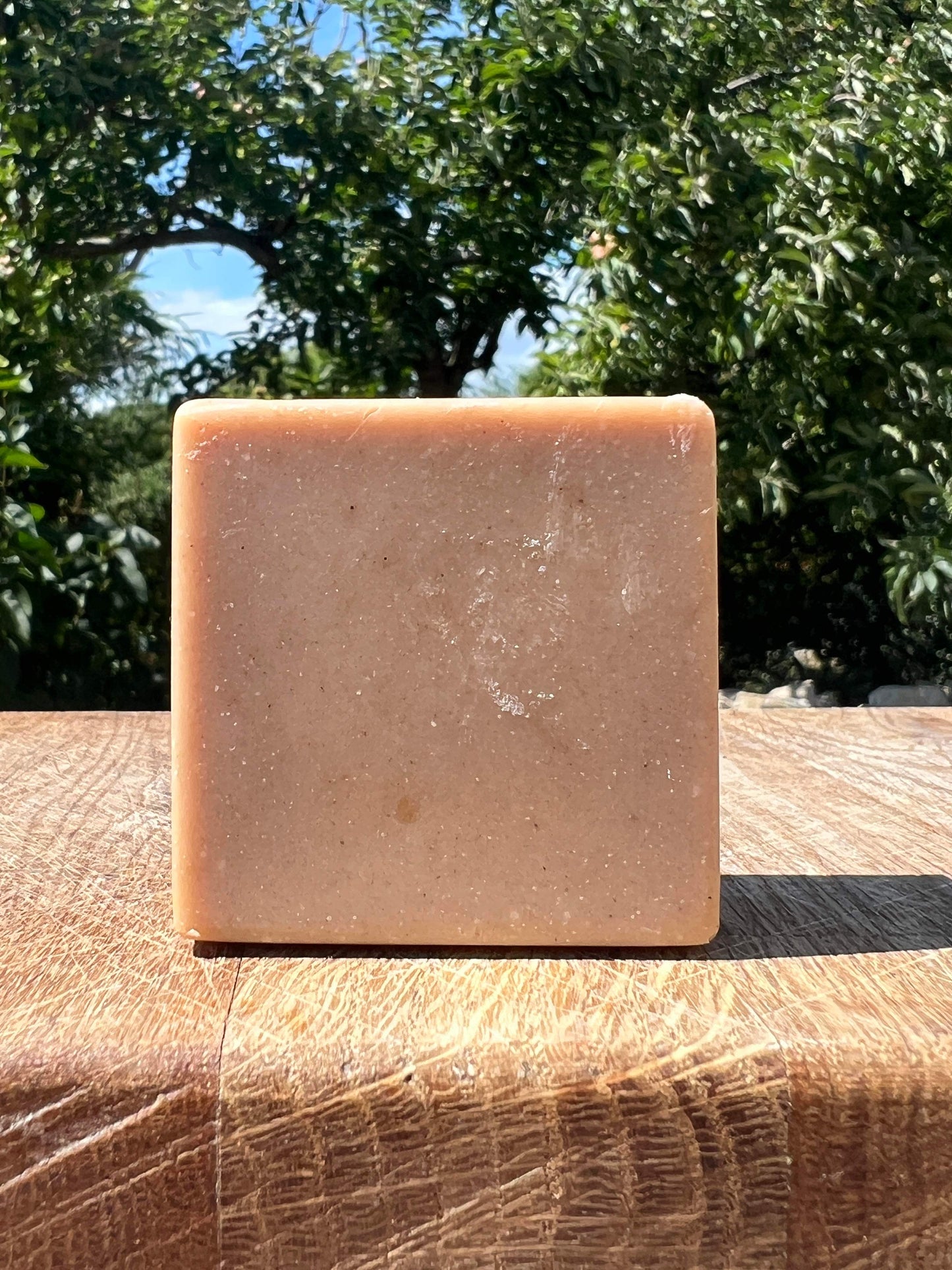 Autumnal Spell Vegan Guest Soap