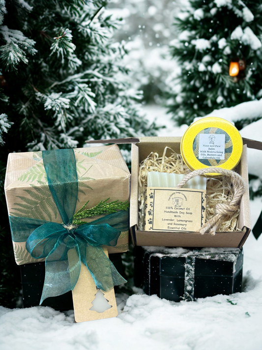 Christmas Dog Gift Box (Medium)